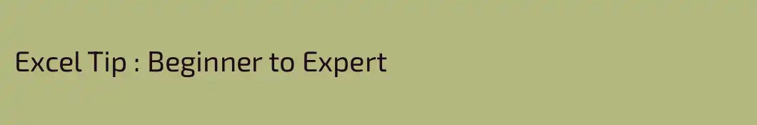 Excel Tip : Beginner to Expert